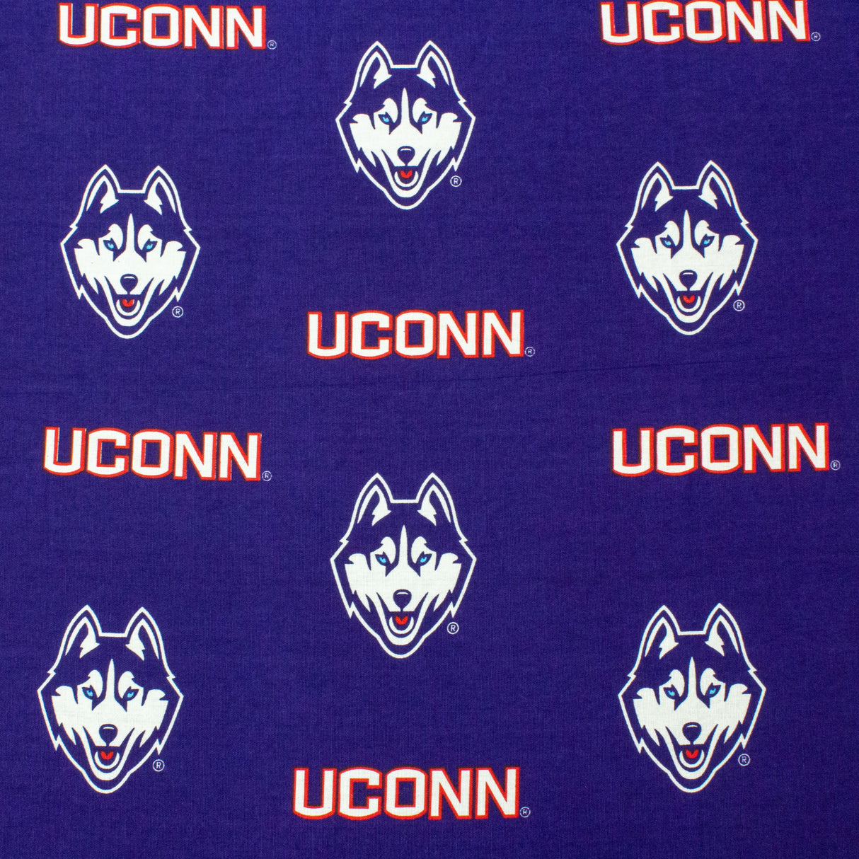 Connecticut Huskies Futon Cover
