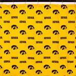 Iowa Hawkeyes Shower Curtain Cover