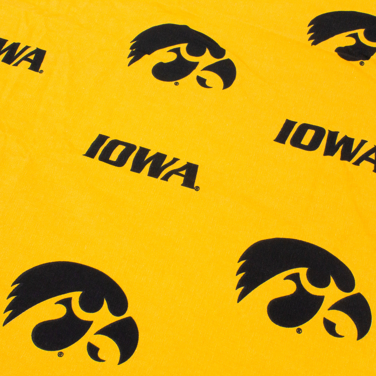 Iowa Hawkeyes Fitted Table Cover / Tablecloth:  3 Sizes Available
