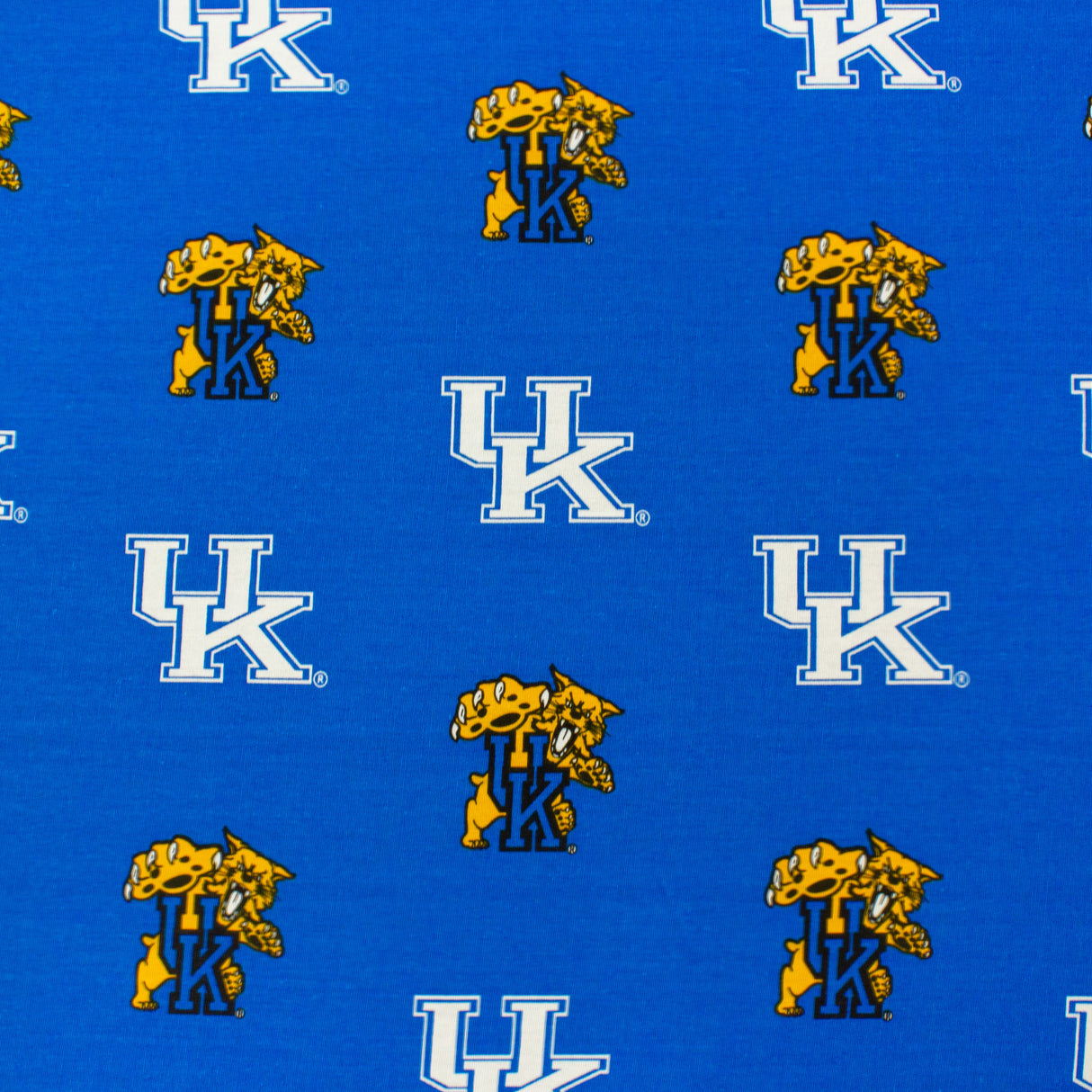 Kentucky Wildcats Futon Cover