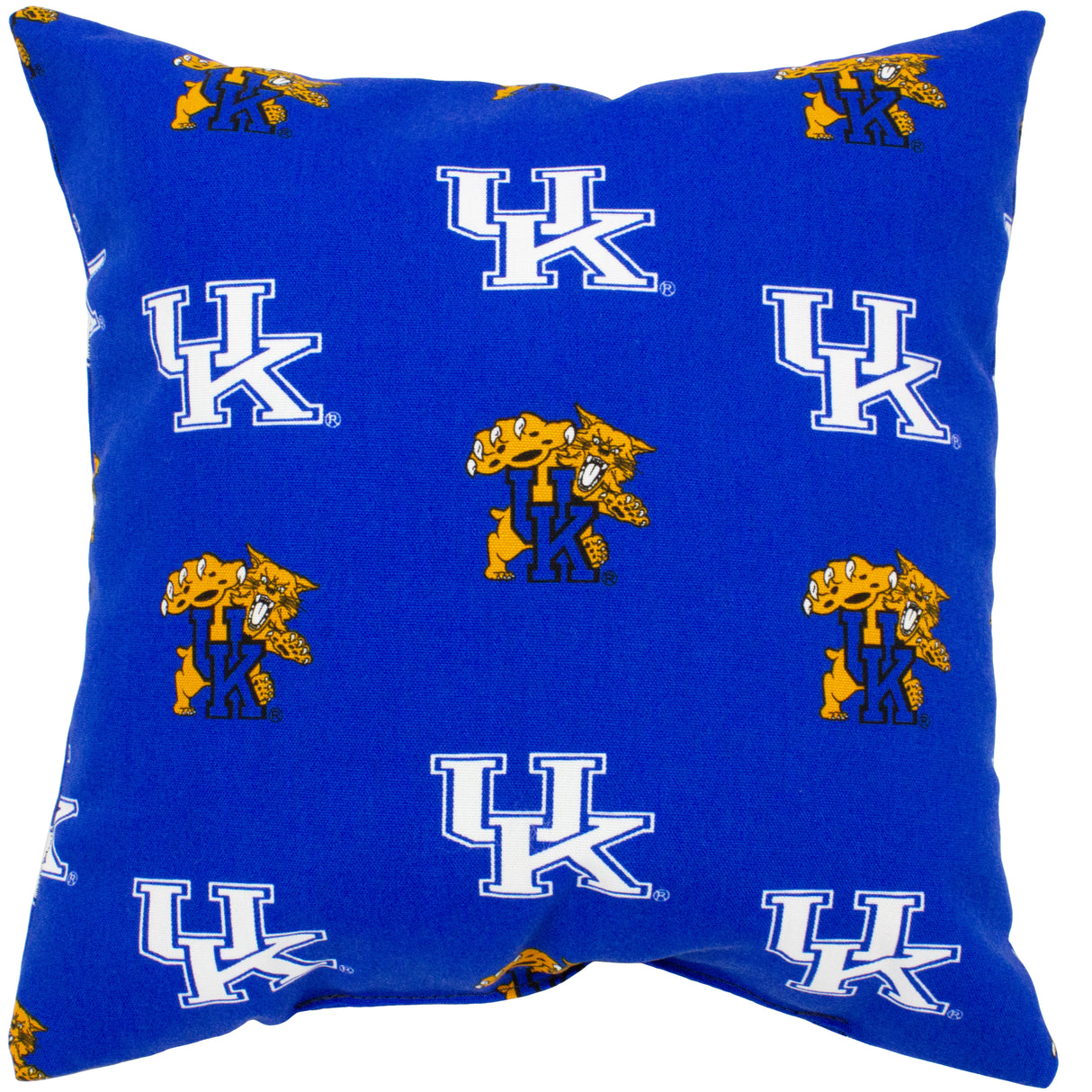 Kentucky Wildcats Outdoor Decorative Pillow