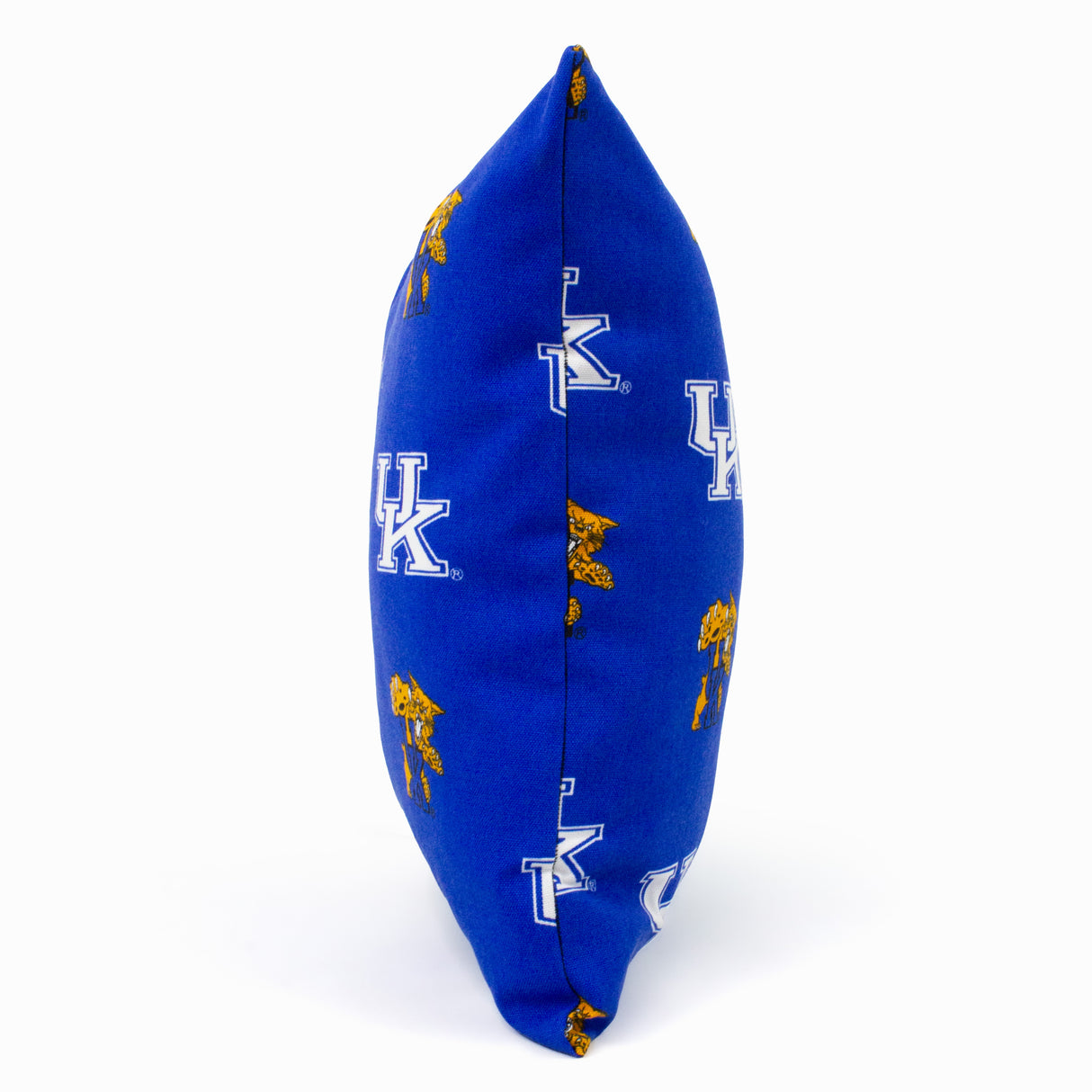 Kentucky Wildcats Outdoor Decorative Pillow