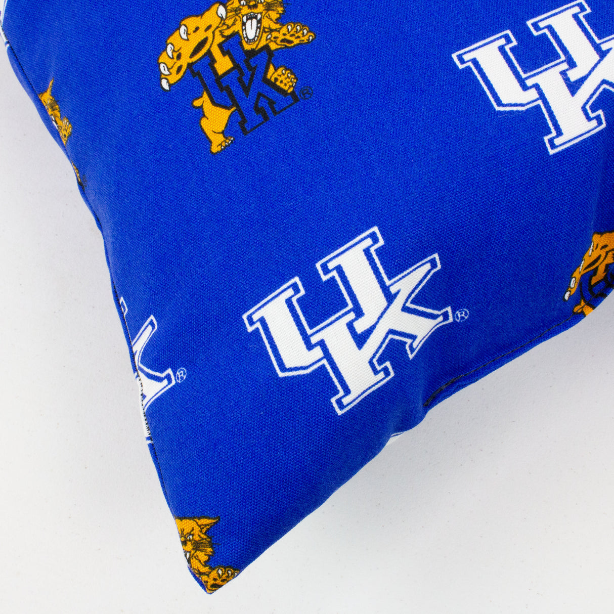 Kentucky Wildcats Outdoor Decorative Pillow