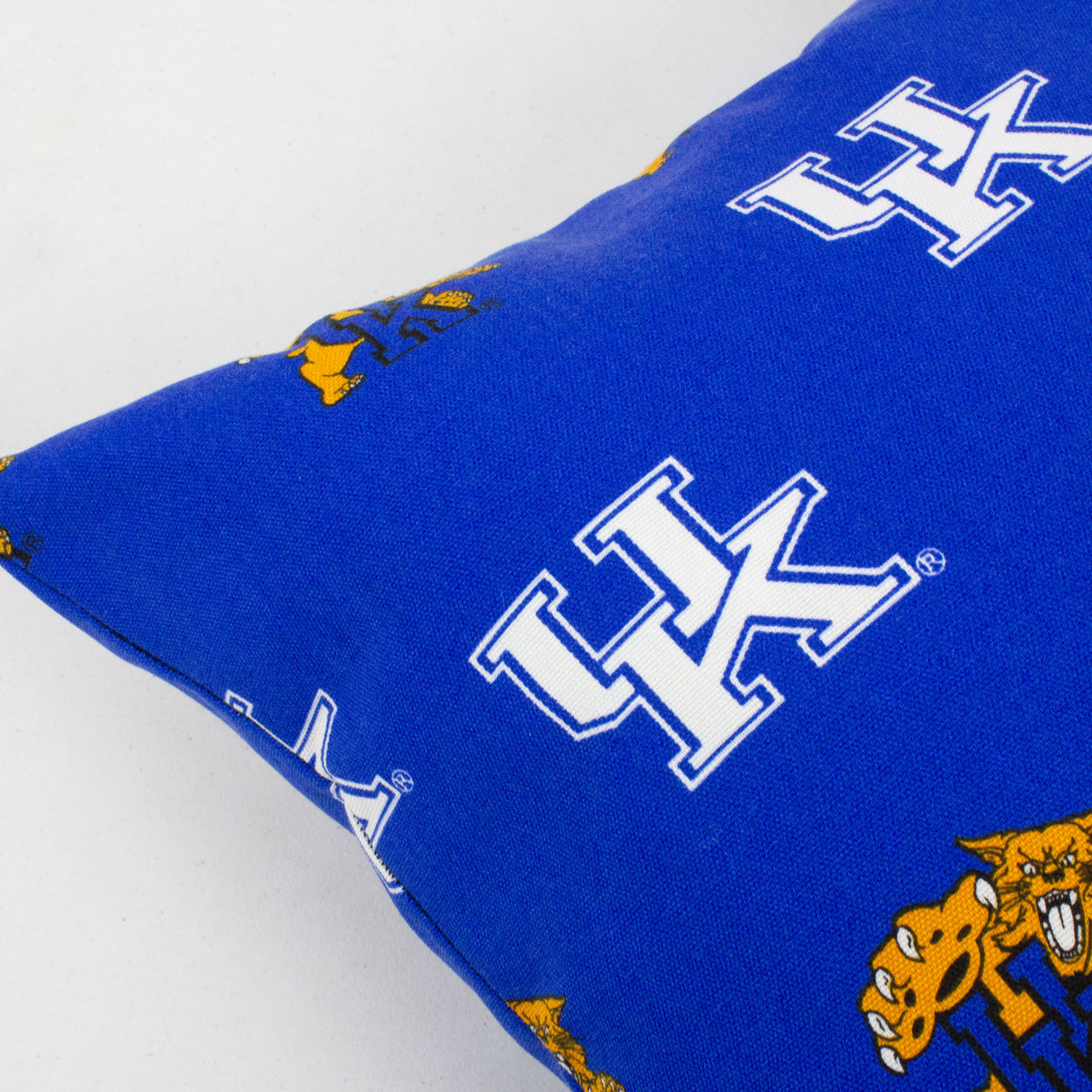 Kentucky Wildcats Outdoor Decorative Pillow