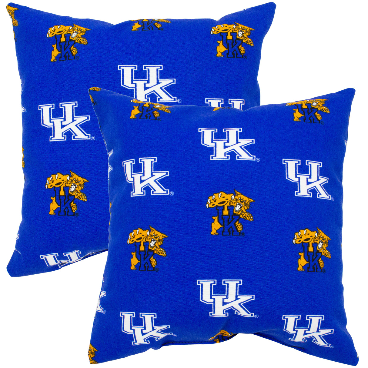 Kentucky Wildcats Outdoor Decorative Pillow