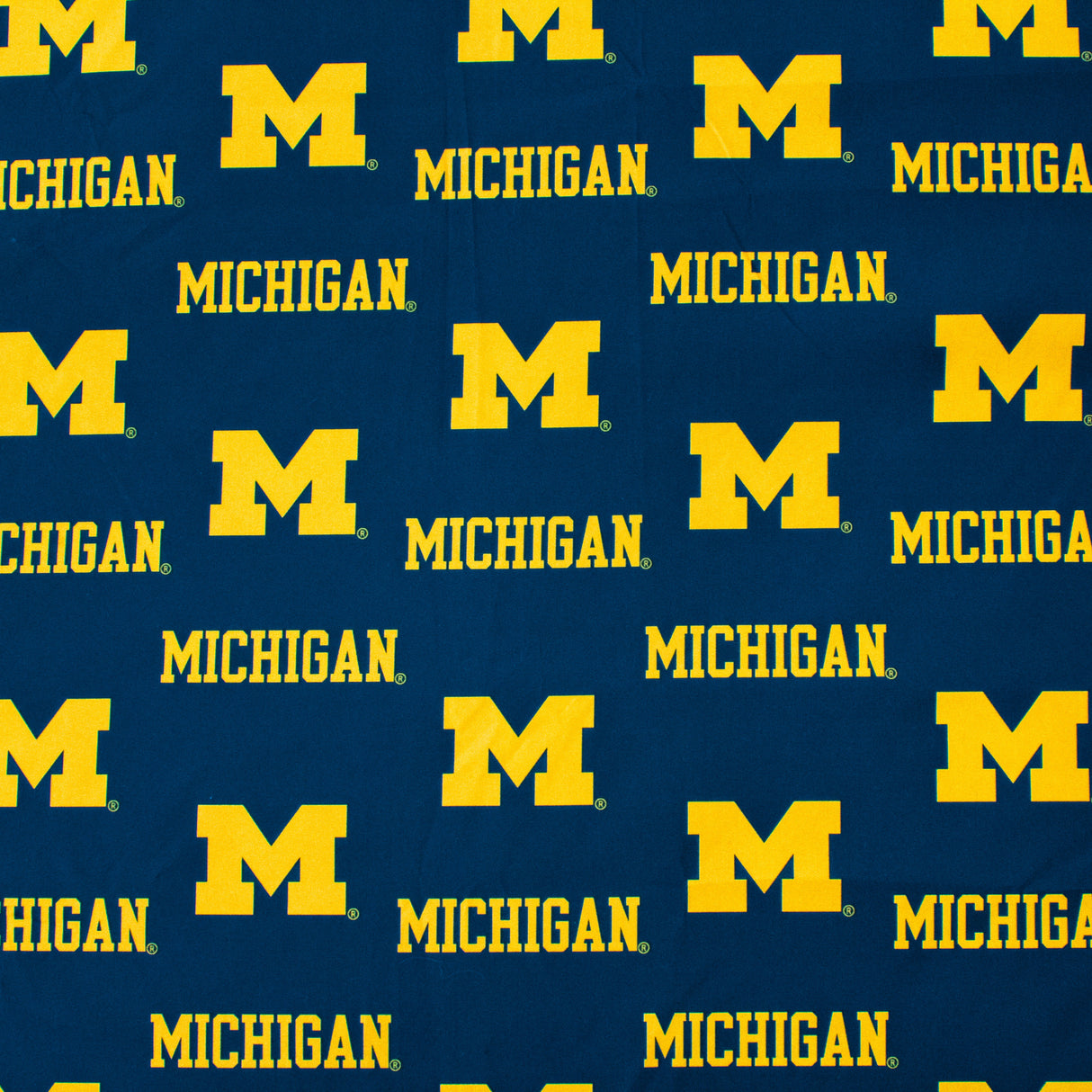 Michigan Wolverines Futon Cover