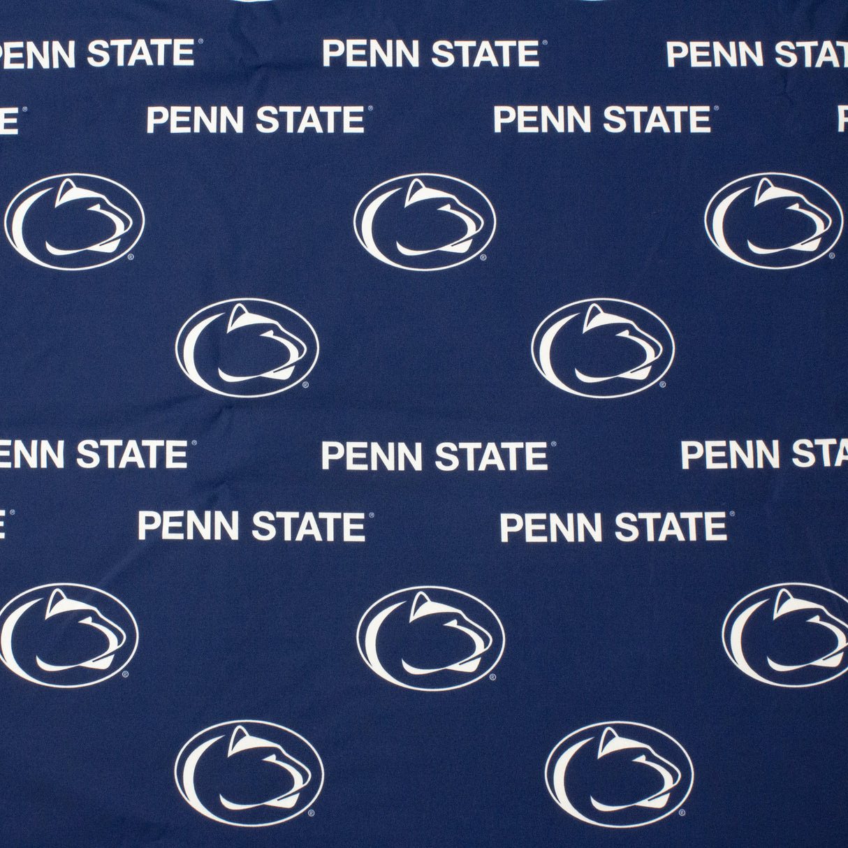 Penn State Nittany Lions Futon Cover