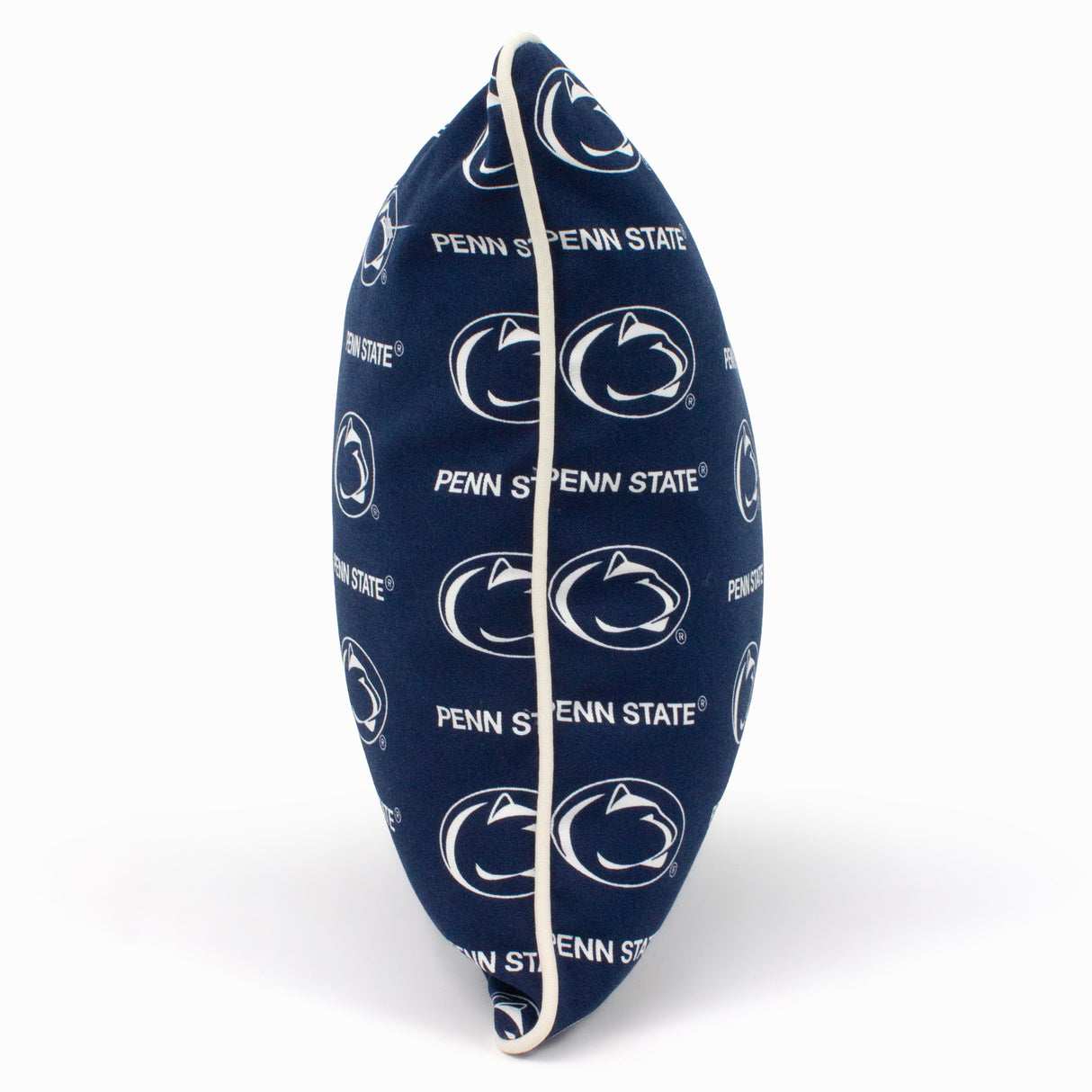 Penn State Nittany Lions Outdoor Decorative Pillow