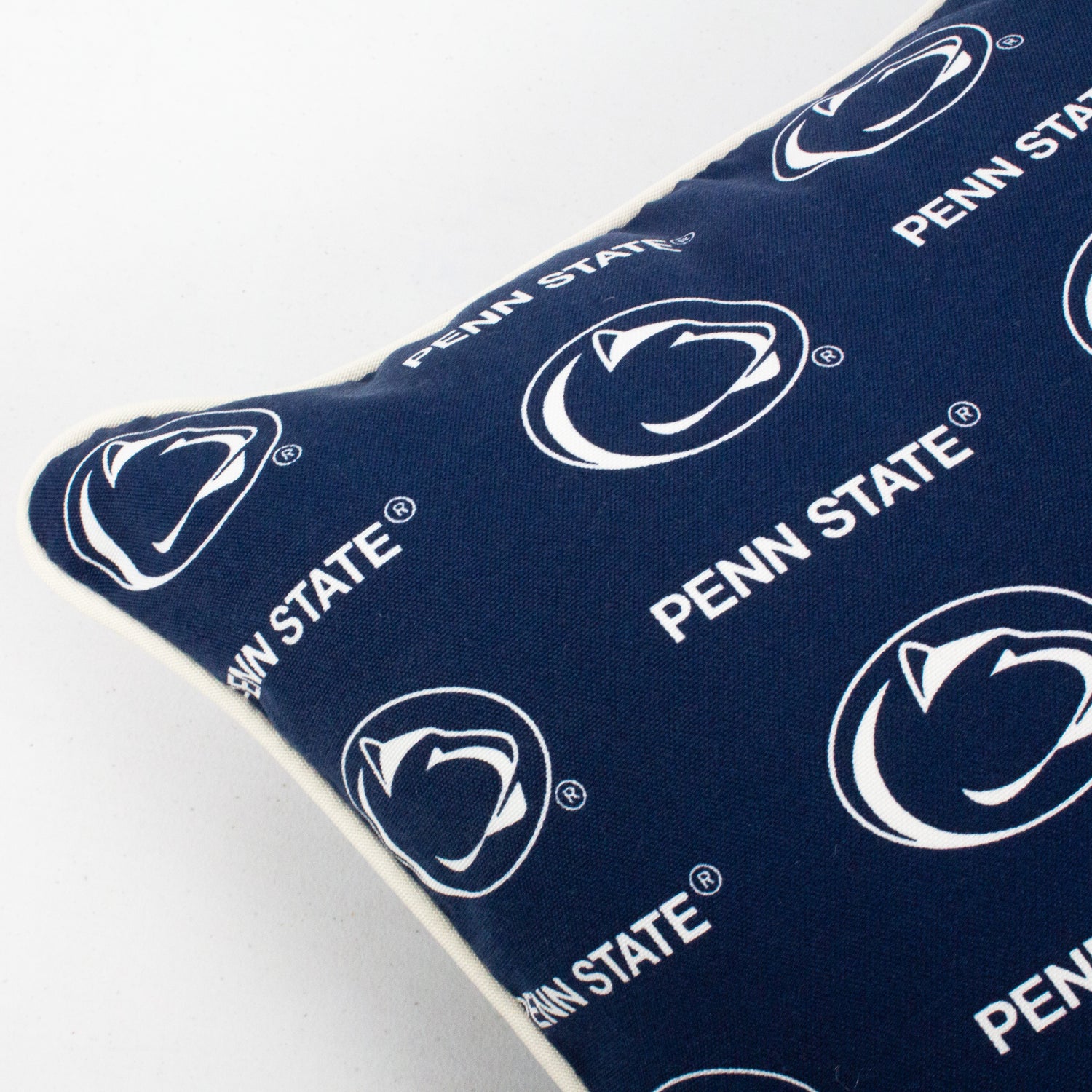 Penn State Nittany Lions Outdoor Decorative Pillow