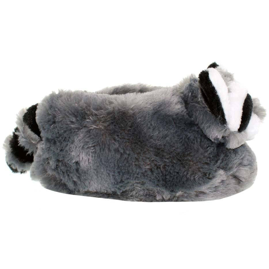 Raccoon