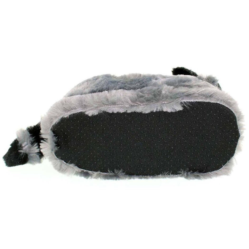 Raccoon
