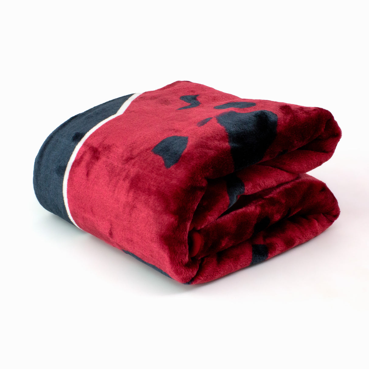 South Carolina Gamecocks Huge Soft Plush Throw Blanket, 86" x 63"