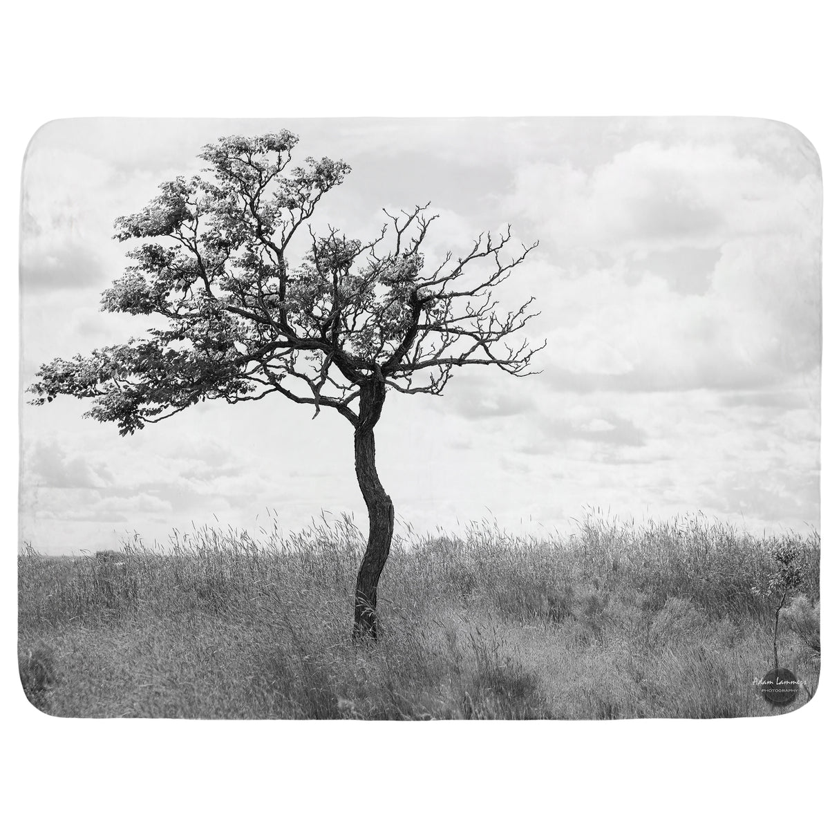 Landscape with Lone Tree Throw Blanket