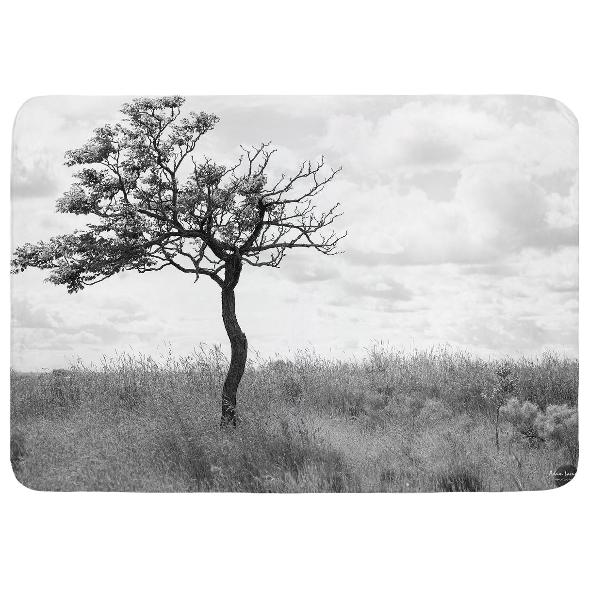 Landscape with Lone Tree Throw Blanket