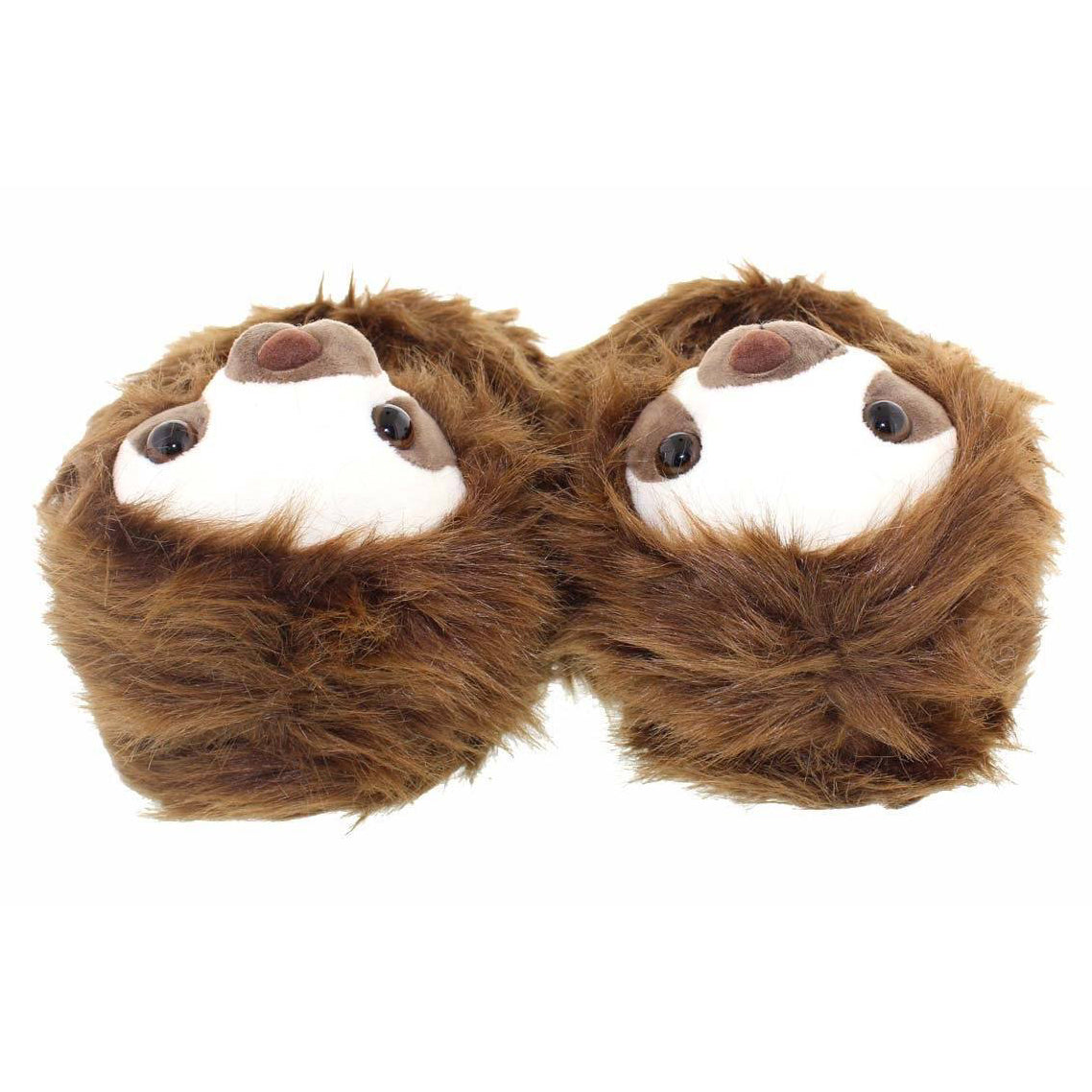 Sloth