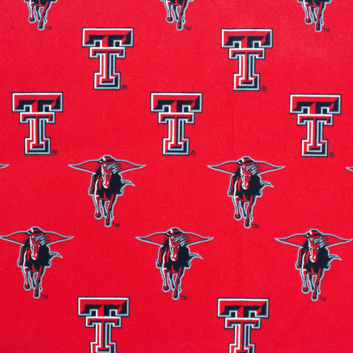 Texas Tech Red Raiders Two Piece Chair Cushion