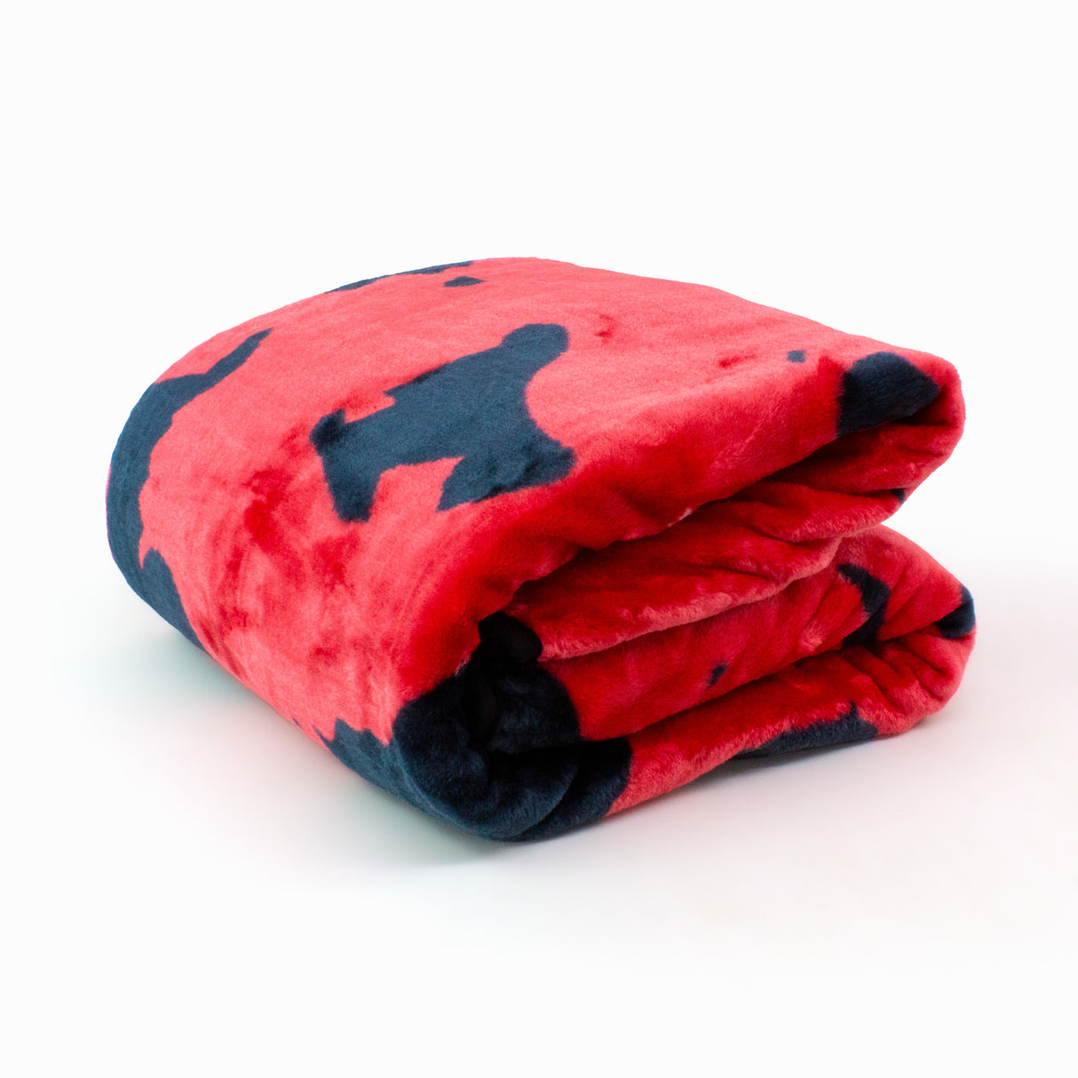 Wisconsin Badgers Plush Throw Blanket, Bedspread, 86" x 63"