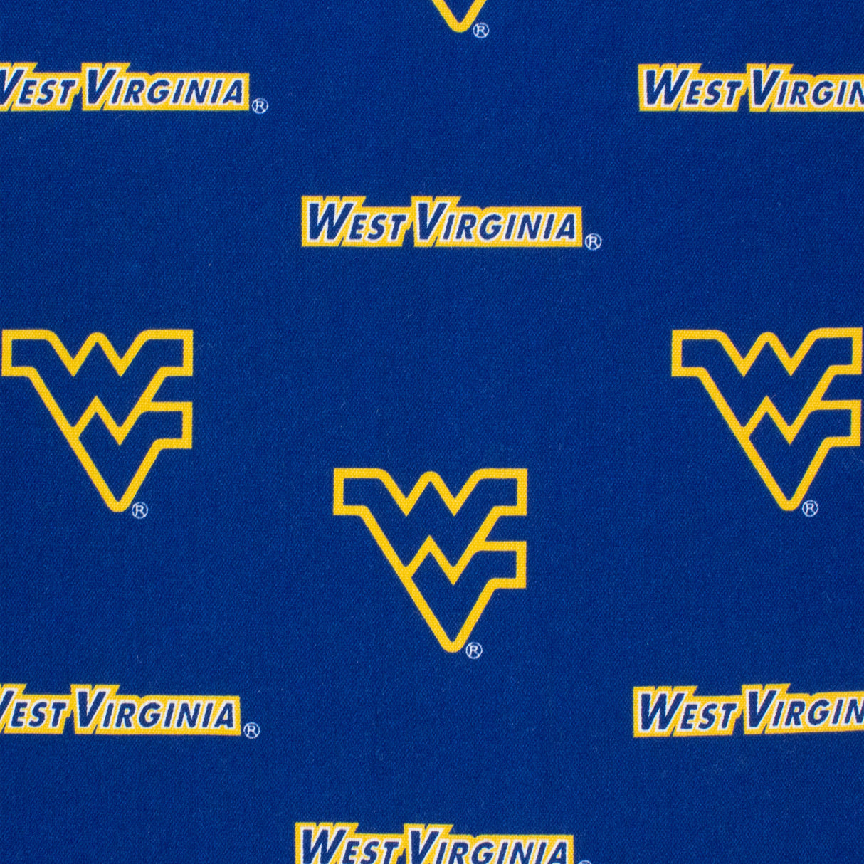 West Virginia Mountaineers Two Piece Chair Cushion