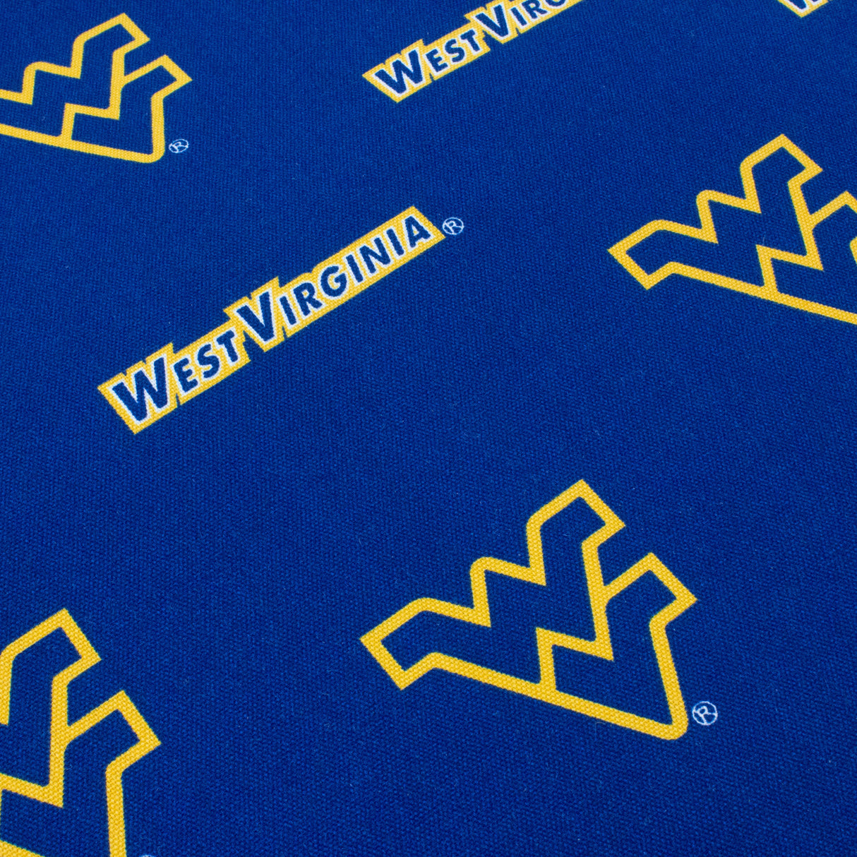 West Virginia Mountaineers Two Piece Chair Cushion