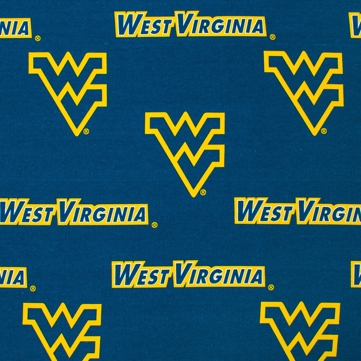 West Virginia Mountaineers Futon Cover