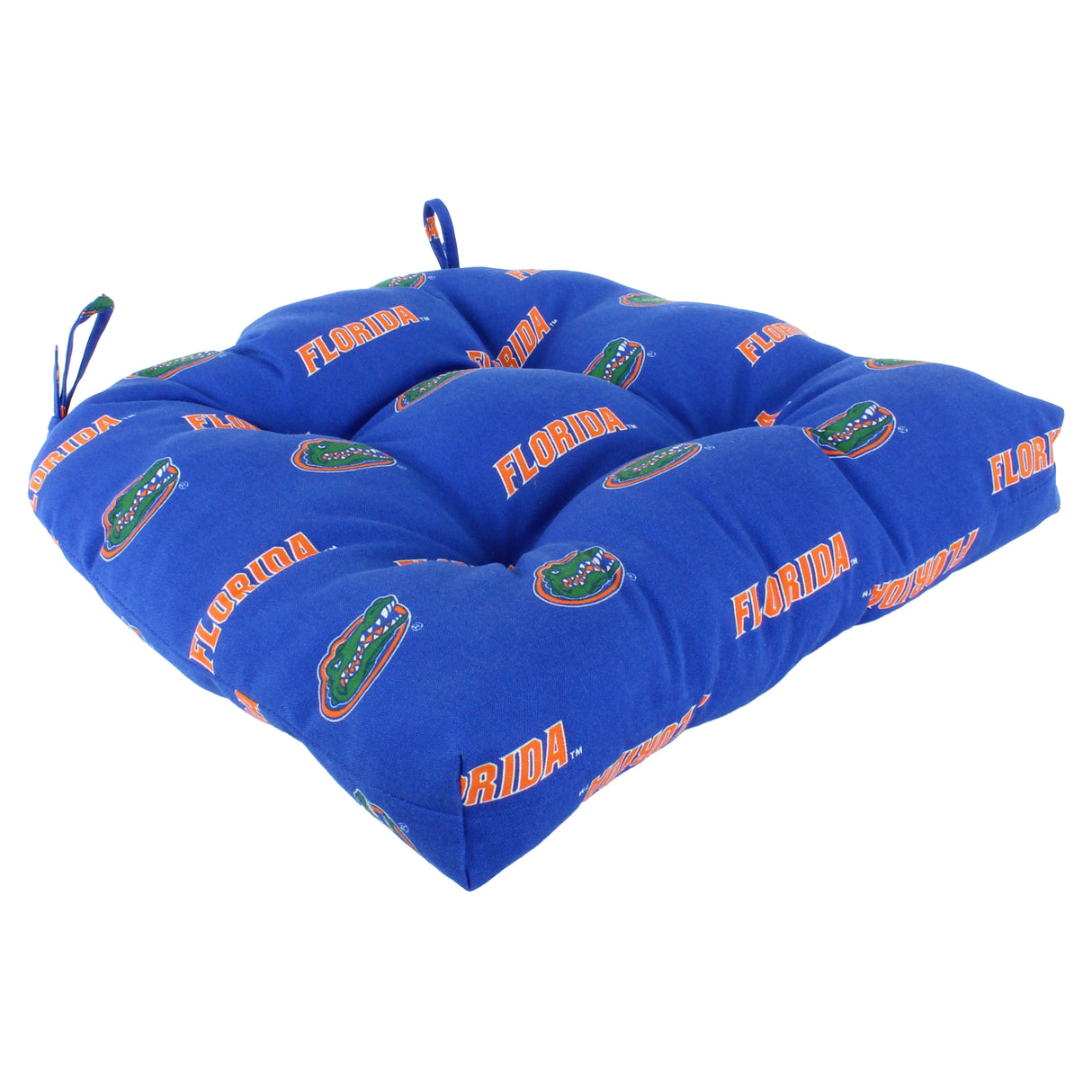 Florida Gators D Cushion
