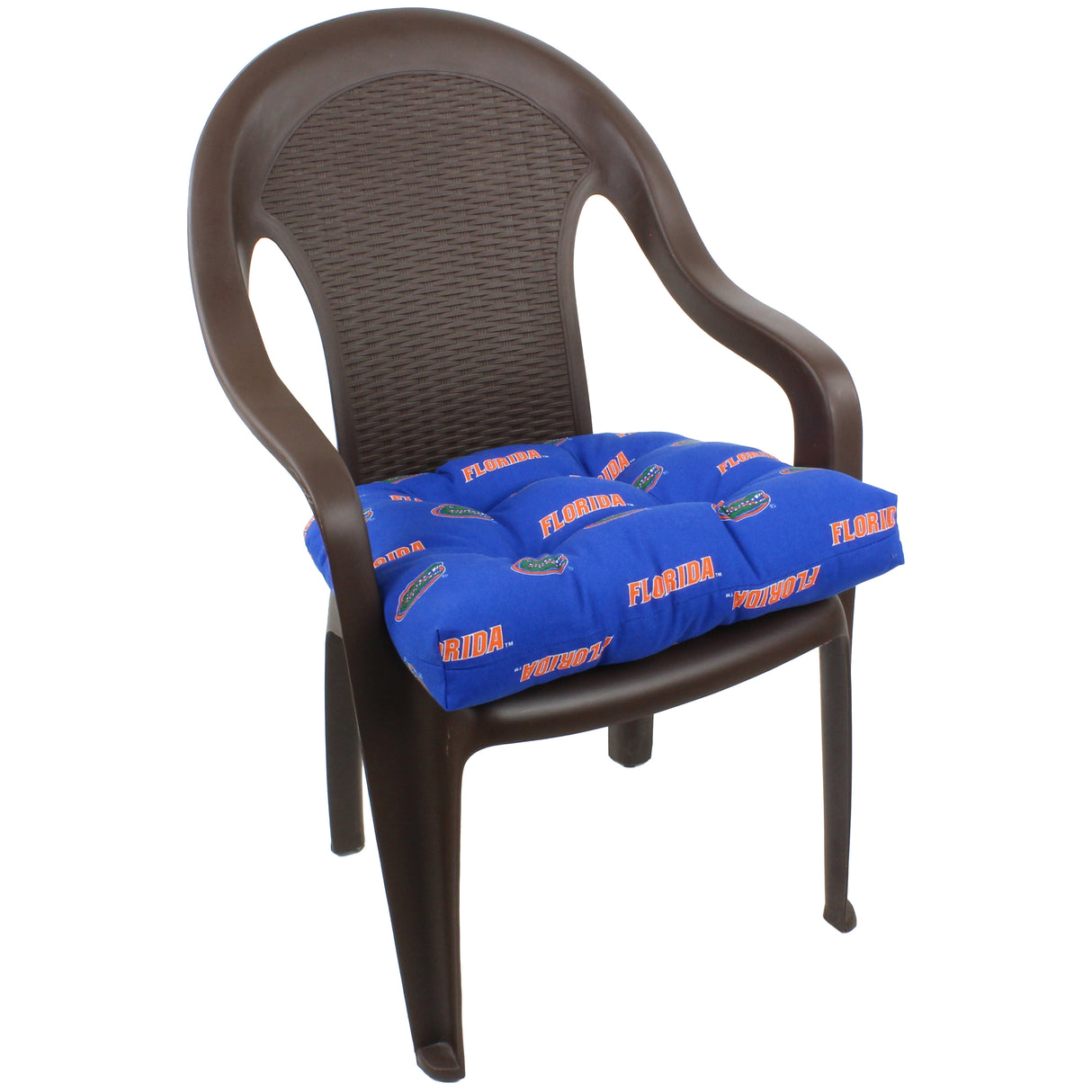 Florida Gators D Cushion
