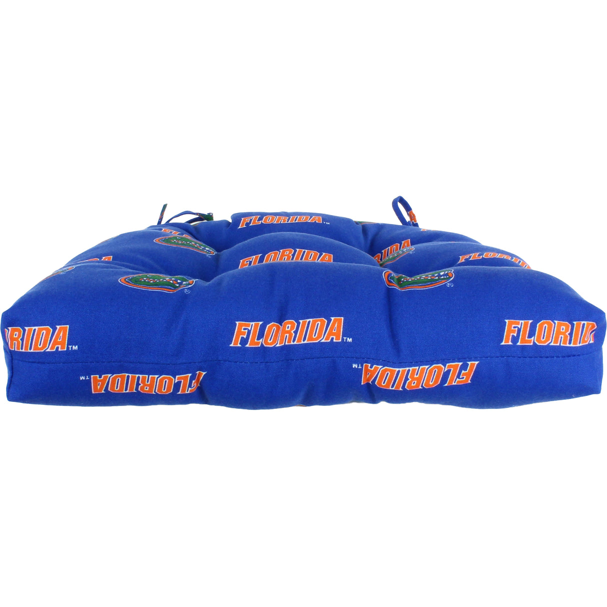 Florida Gators D Cushion