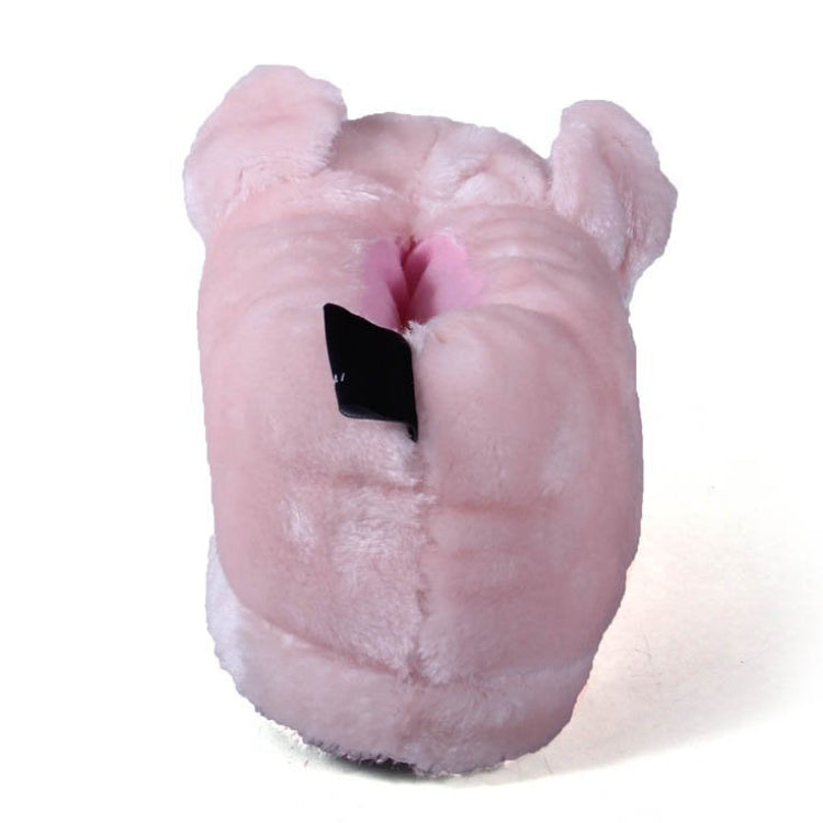 Pig