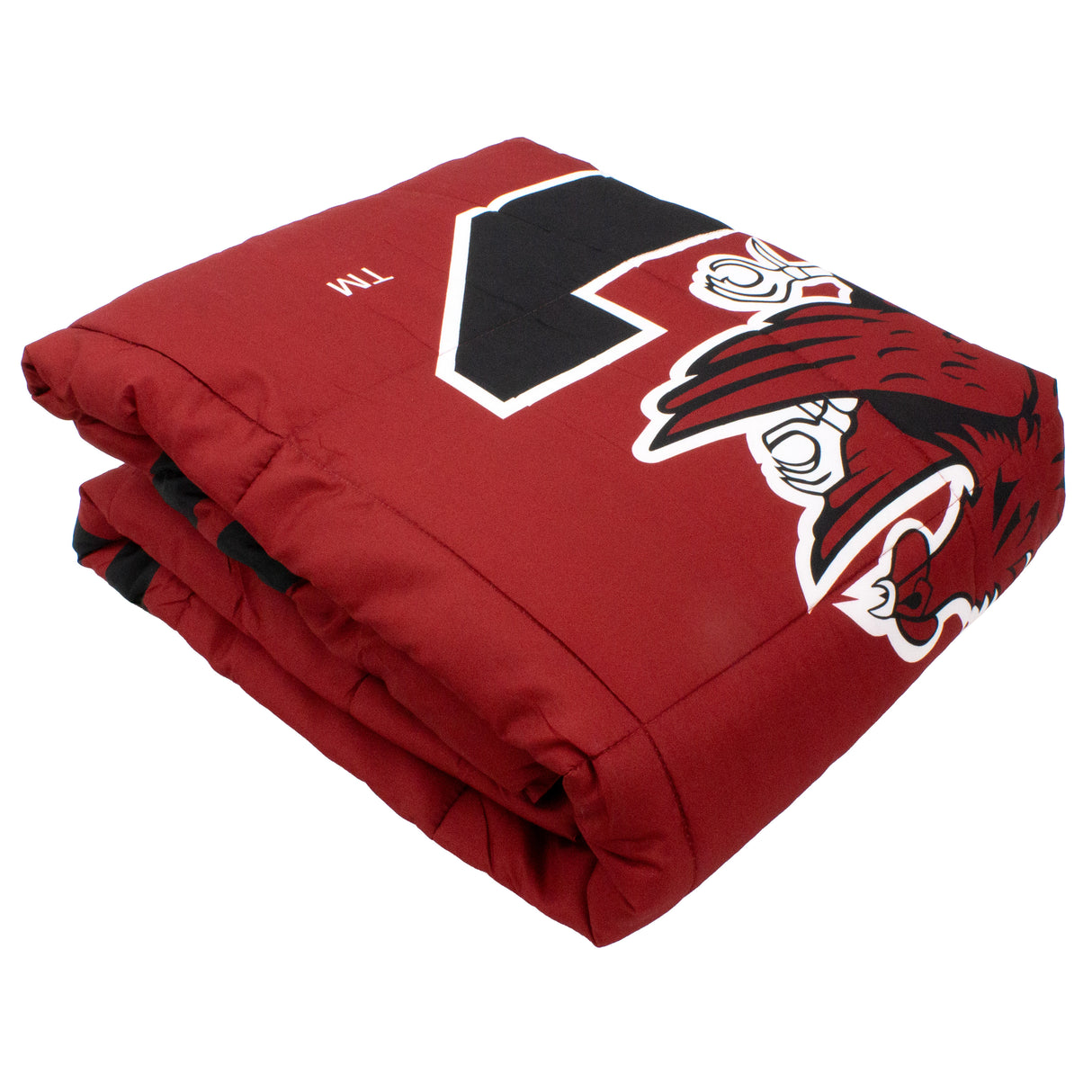 South Carolina Gamecocks Reversible Big Logo Soft and Colorful Comforter