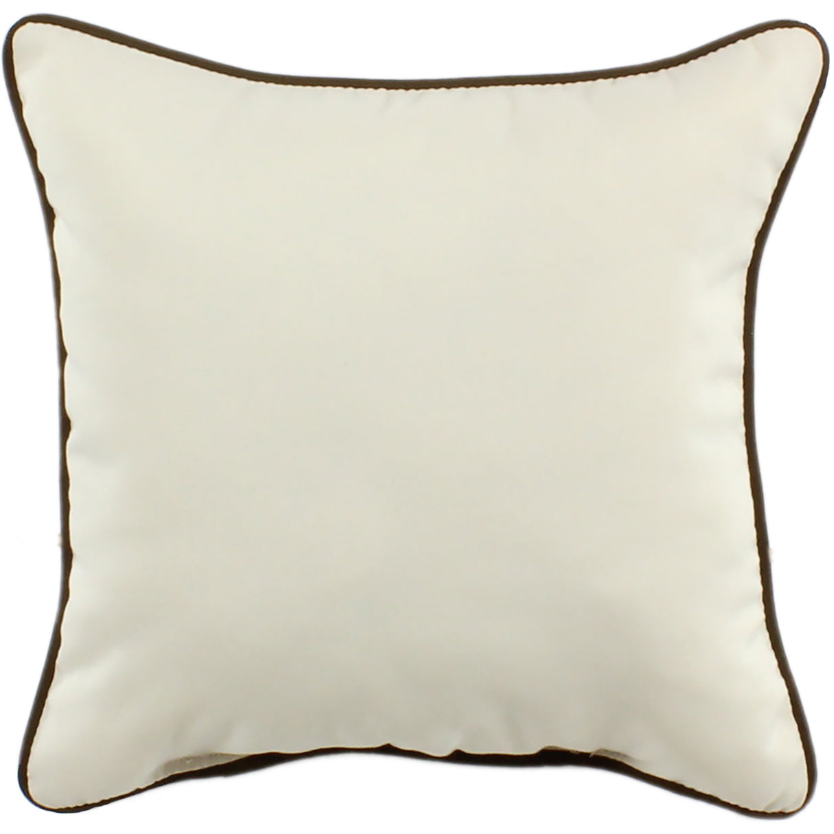 Beige Indoor / Outdoor Decorative Pillow