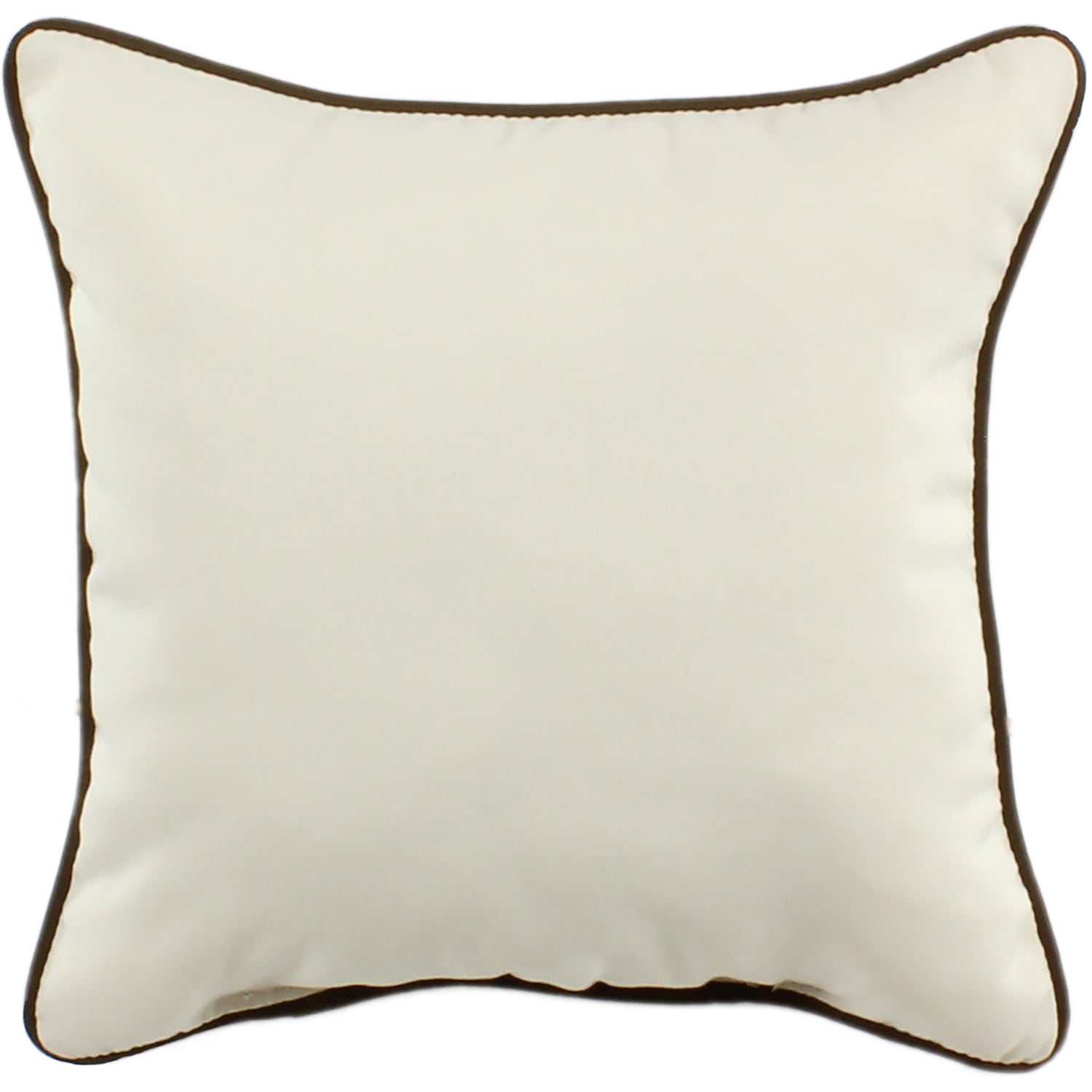 Beige Indoor / Outdoor Decorative Pillow