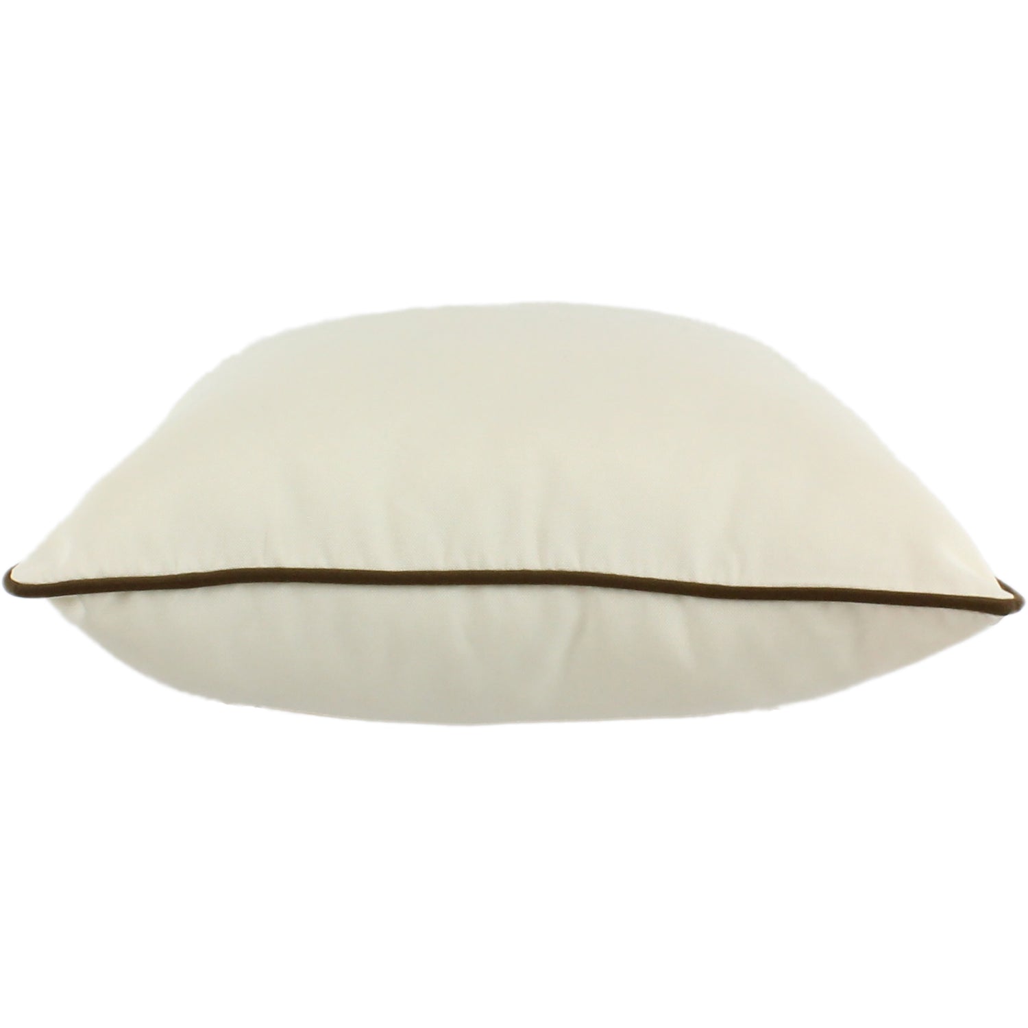 Beige Indoor / Outdoor Decorative Pillow