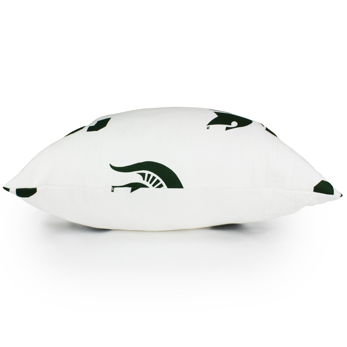 Michigan State Spartans Decorative Pillow