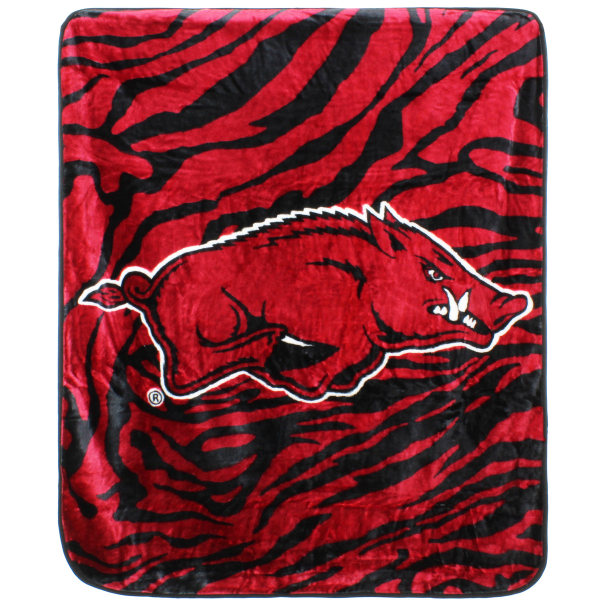 Arkansas Razorbacks Raschel Throw Blanket, 50" x 60"