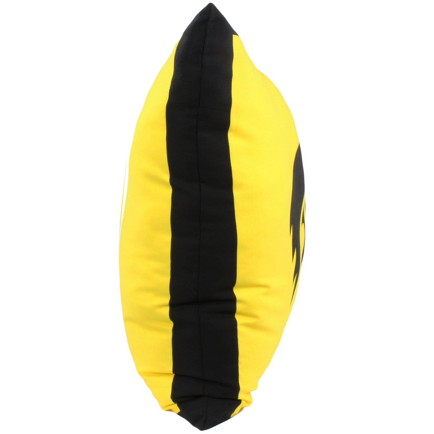 Iowa Hawkeyes Fully Stuffed Big Logo Pillow