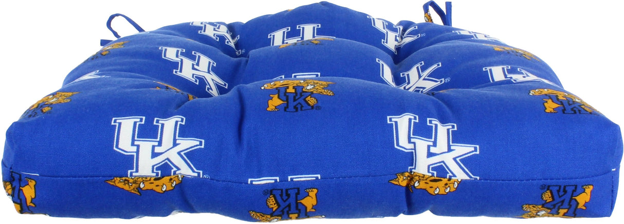 Kentucky Wildcats D Cushion