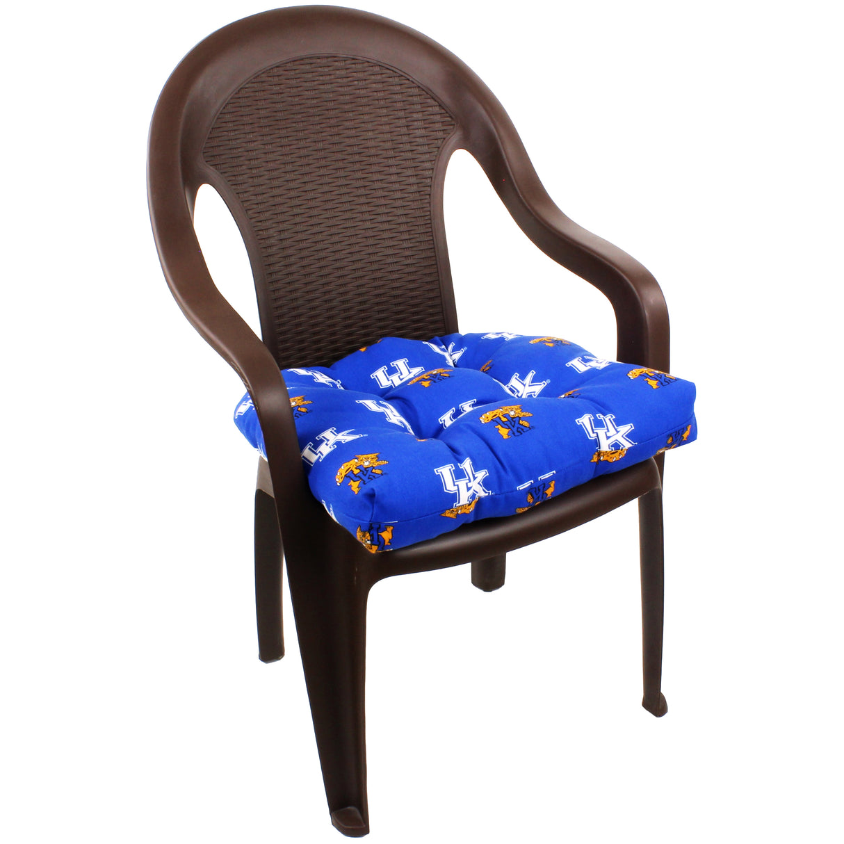 Kentucky Wildcats D Cushion