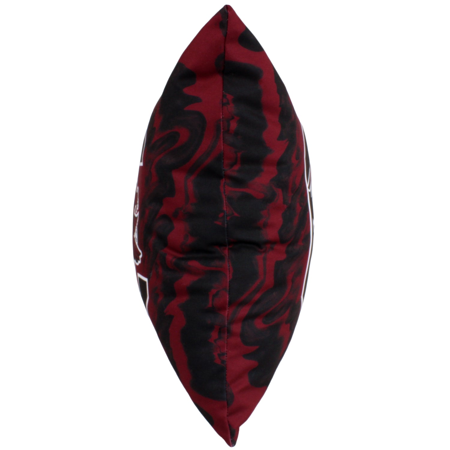 South Carolina Gamecocks 2 Sided Color Swept Decorative Pillow, 16" x 16"