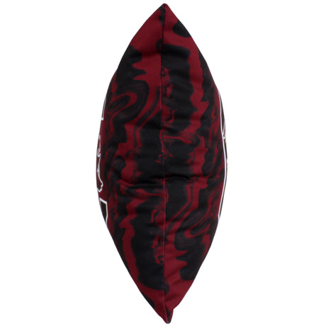 South Carolina Gamecocks 2 Sided Color Swept Decorative Pillow, 16" x 16"