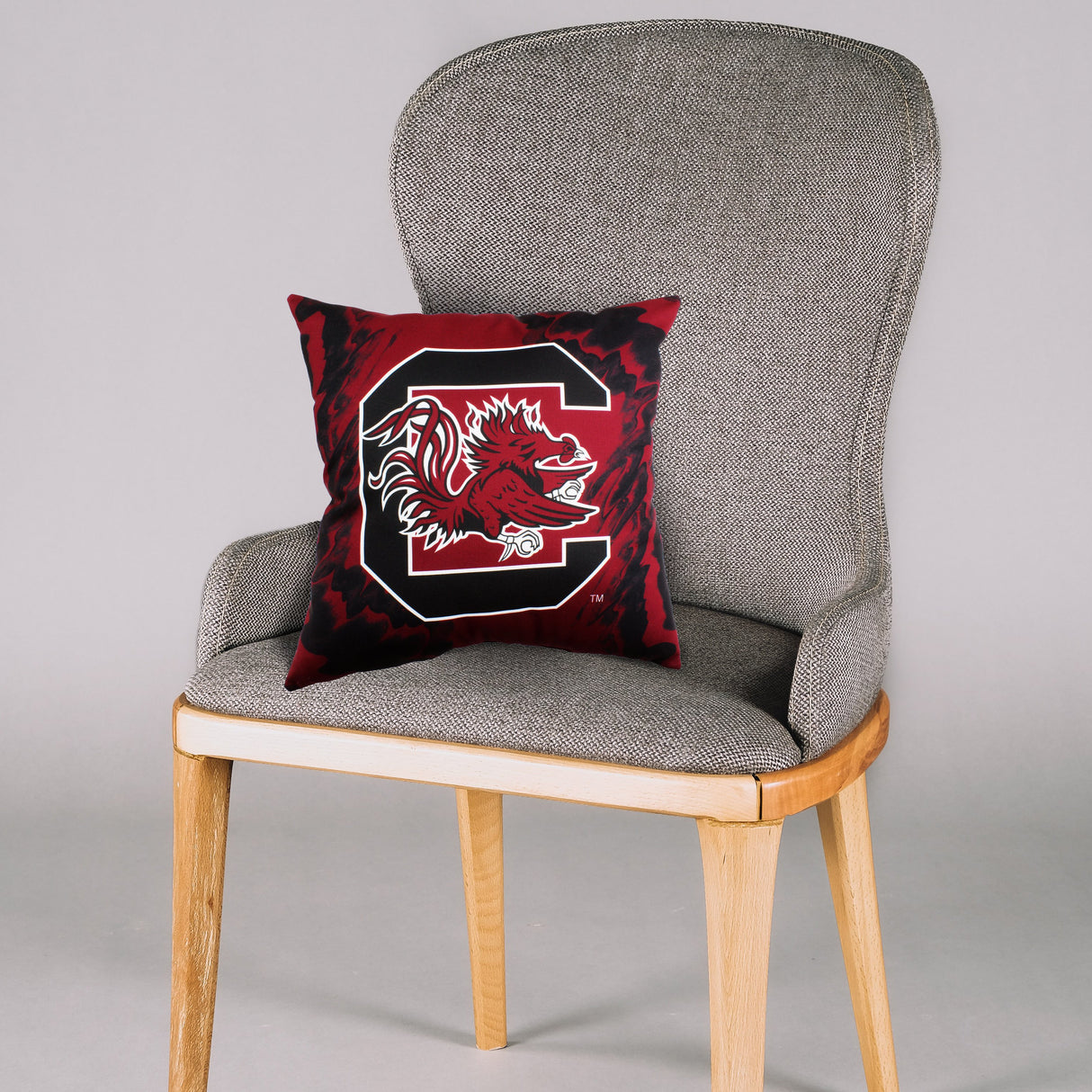 South Carolina Gamecocks 2 Sided Color Swept Decorative Pillow, 16" x 16"
