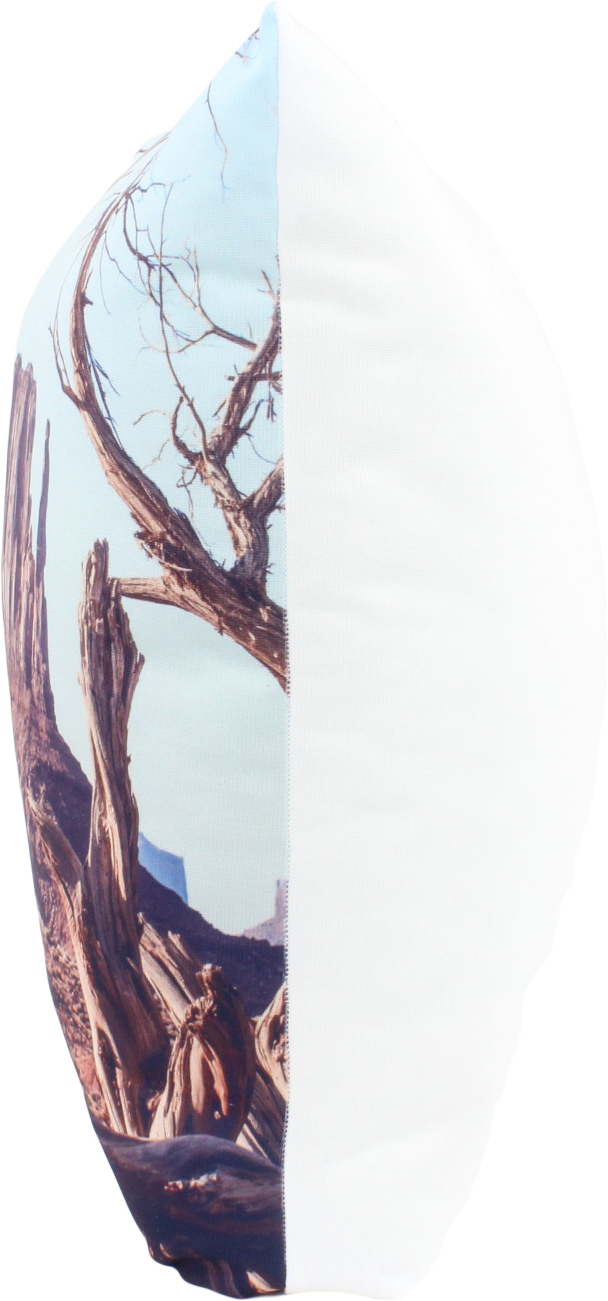 Elephant Rock, Monument Valley, Utah, 16" Decorative Pillow, Made in the USA