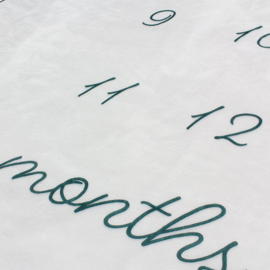 Baby Monthly Milestones Blanket