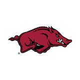 Arkansas Razorbacks