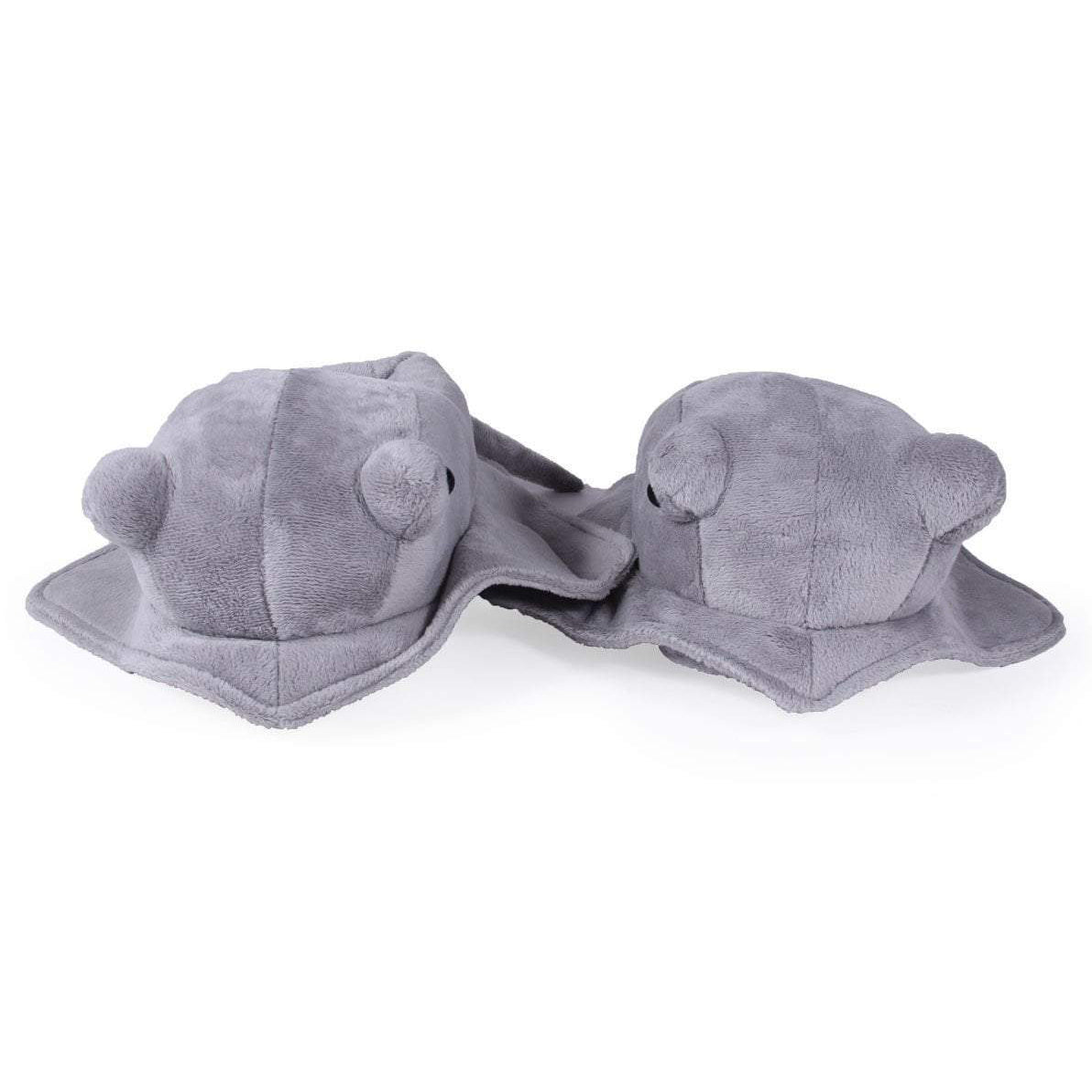Sting Ray