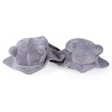 Sting Ray