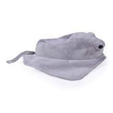 Sting Ray