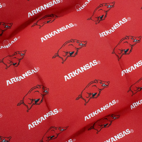 Arkansas Razorbacks Adirondack Cushion