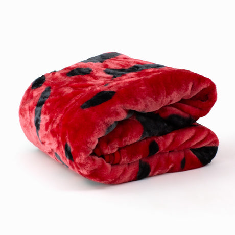 Arkansas Razorbacks Huge Soft Plush Throw Blanket, 86" x 63"