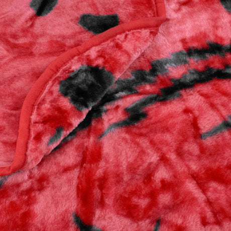 Arkansas Razorbacks Huge Soft Plush Throw Blanket, 86" x 63"