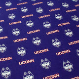 Connecticut Huskies Futon Cover